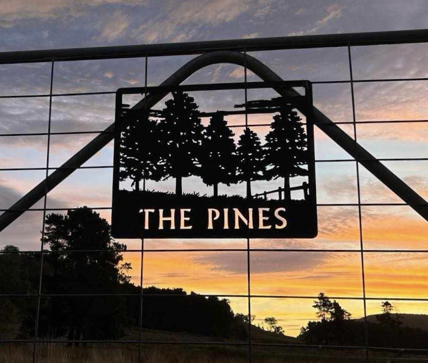 The Pines gate sign board against a vibrant sunset in the background