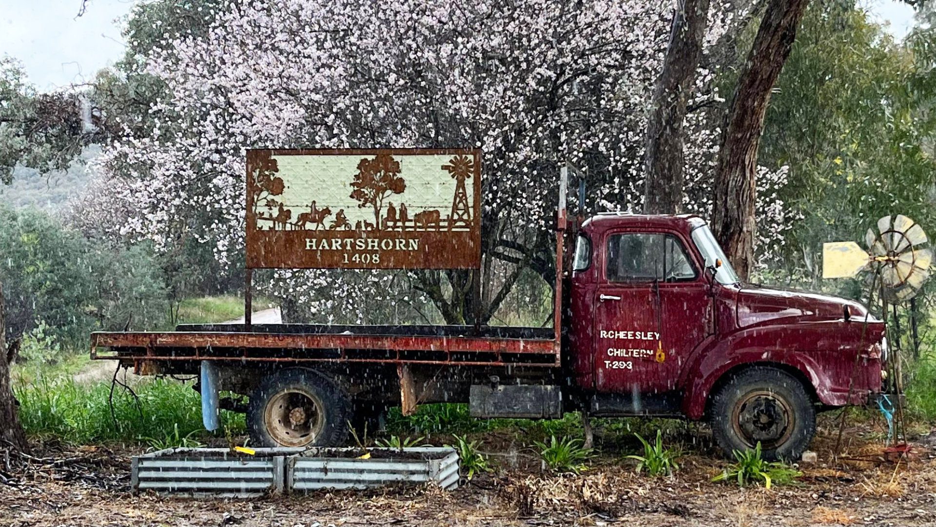 A vintage red truck with the name "Rochelely" and "Chelten, 1209" on the door, is parked in front of a blooming tree amidst a light rain. The truck carries a rustic sign with "Hartshorn, 1405" featuring silhouettes of animals and farm scenes.