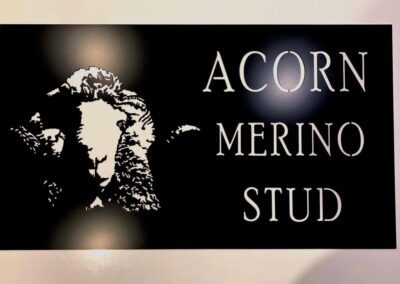 Acorn Merino stud logo featuring a stylized acorn design, representing quality and craftsmanship in wool products.