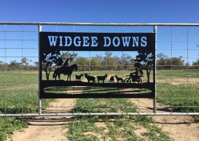 A panoramic view of Widgee Downs cattle station, showcasing vast pastures and grazing cattle under a clear blue sky.